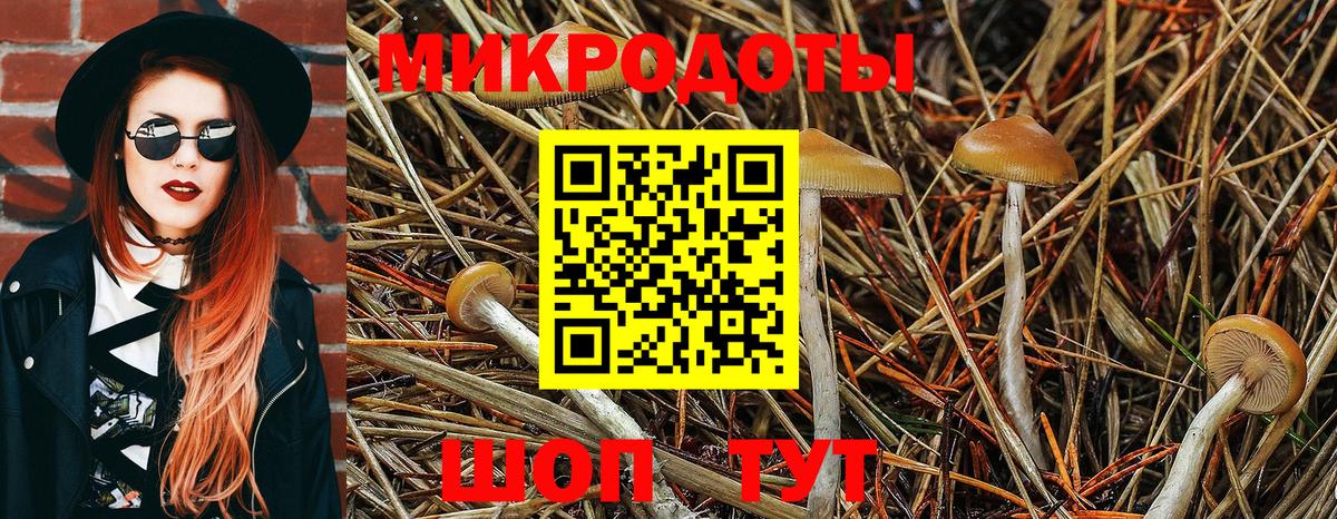 Псилоцибиновые грибы мухоморы  Галлюциногенные грибы мухоморы  Вход с VPN  Кимовск 