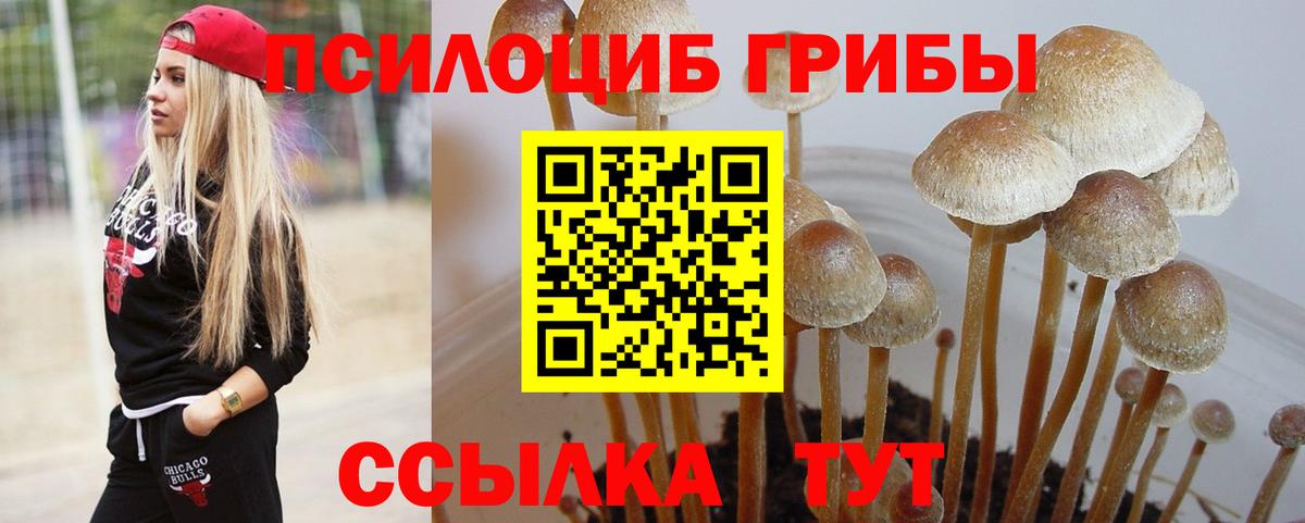 Псилоцибиновые грибы ЛСД Кимовск